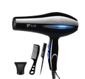Secador de Cabelo Profissional 2200W